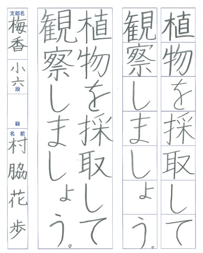 第70回全国書道コンクール受賞作品硬筆部・ペン字部優秀賞第3席小学6年千葉県梅香支部村脇花歩