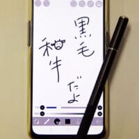 筆談のススメ・コロナ対策と書道