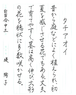 【第72回全国書道コンクール】書き方・ペン字優秀賞第2席優秀作品　中学3年　堤　　陶子