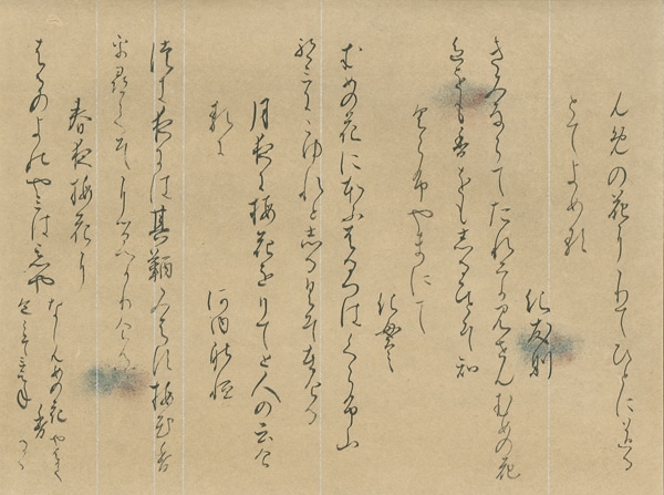 斎藤　俊子　全書芸賞　東京都知事賞　第51回全書芸展　国立新美術館