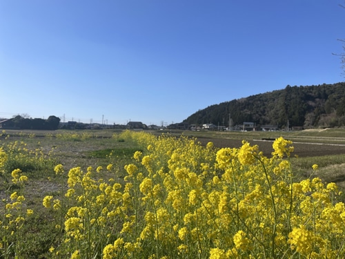 2023年令和5年第3回雄山書院展千葉鴨川市郷土資料館滝口蘭邦滝口雄山条幅篆刻消しゴムハンコタンブラー一字書ペン字毛筆漢字色紙箸袋書道