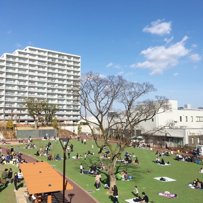 中野区立広町みらい公園体験学習センター書道教室お習字かきぞめ根岸蝶秋全日本書芸文化院全書芸親子未就学児小学生中学生高校生大人イベント日比谷花壇