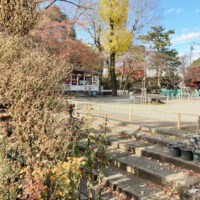 お正月ペンネーム悪筆子全日本書芸文化院全書芸メンバーBLOG