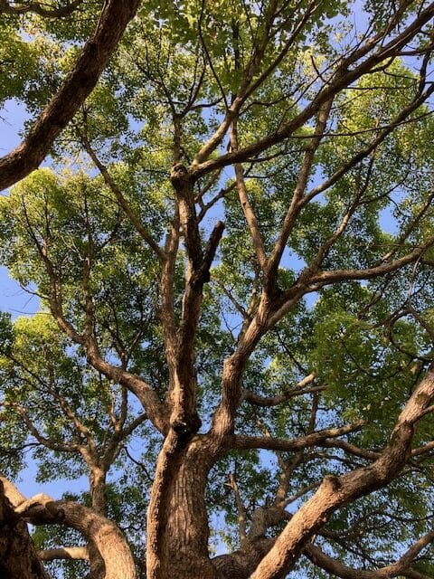 ペンネーム悪筆子全日本書芸文化院全書芸メンバーBLOGちょっと寄り道