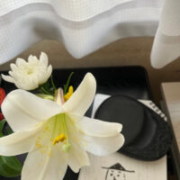 楽しいのだがペンネーム悪筆子全日本書芸文化院全書芸メンバーBLOG