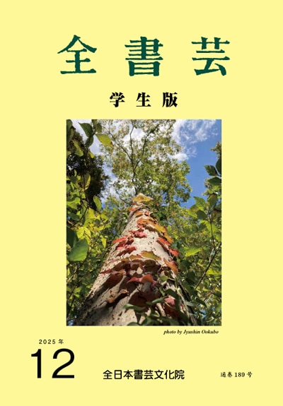 全書芸2025年12月号通巻904号全日本書芸文化院書道競書雑誌書道教室習字教室ペン字大人学生小学生中学生高校生大学生優秀作品