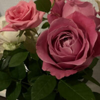 消えた、街ペンネーム悪筆子全日本書芸文化院全書芸メンバーBLOG