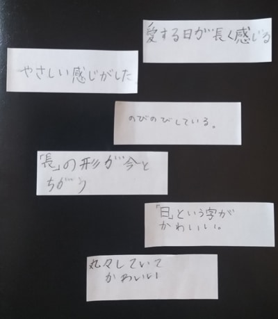 子どもの稽古日記⑤～作品を感じる心総務小林桃筌