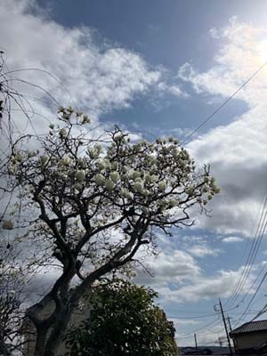 ペンネーム悪筆子全書芸メンバーBLOG全日本書芸文化院