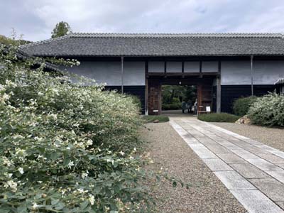 書道旅「髙梨本家上花輪歴史館:書家・楢崎華祥を偲んで」醤油醸造の街千葉県野田市牽洋